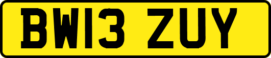 BW13ZUY