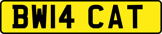 BW14CAT