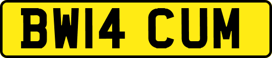 BW14CUM
