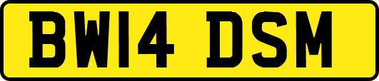 BW14DSM