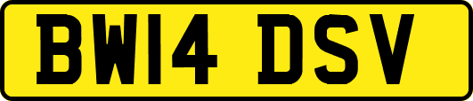 BW14DSV