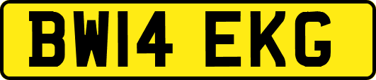 BW14EKG
