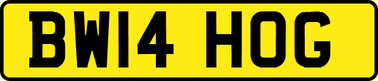 BW14HOG