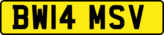 BW14MSV