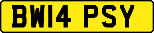 BW14PSY