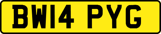 BW14PYG