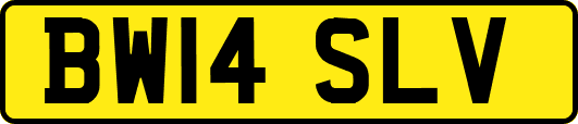 BW14SLV