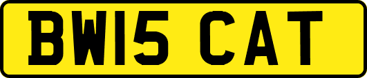 BW15CAT