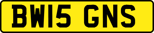 BW15GNS