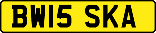 BW15SKA