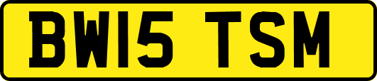 BW15TSM