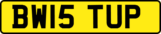 BW15TUP