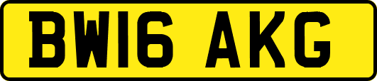 BW16AKG
