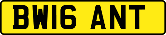 BW16ANT