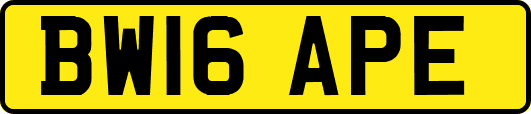 BW16APE