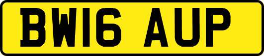 BW16AUP