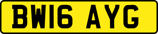 BW16AYG
