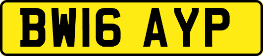 BW16AYP