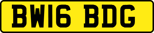 BW16BDG