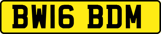 BW16BDM