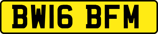 BW16BFM