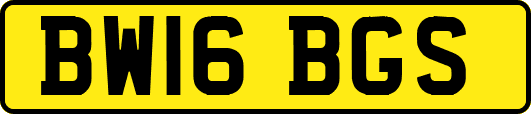BW16BGS