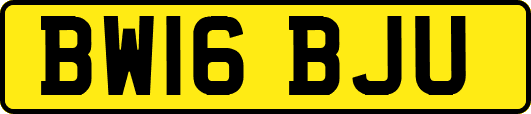 BW16BJU