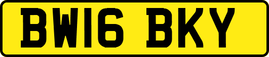 BW16BKY