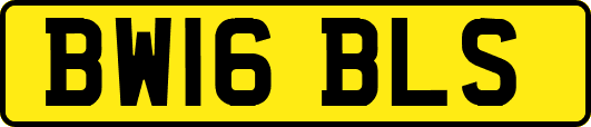 BW16BLS