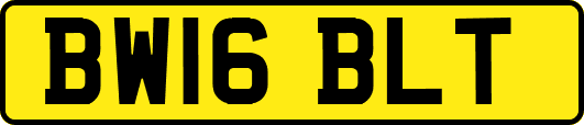 BW16BLT
