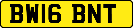 BW16BNT