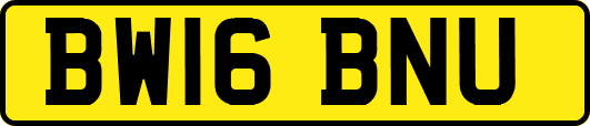 BW16BNU