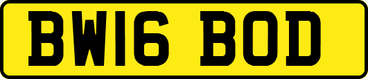 BW16BOD