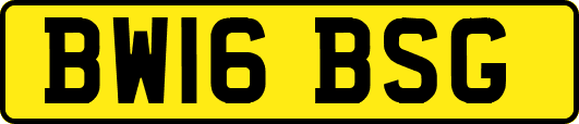 BW16BSG