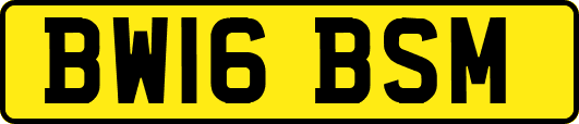 BW16BSM