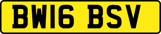 BW16BSV