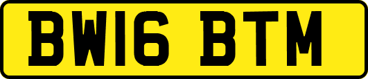 BW16BTM