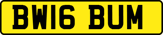 BW16BUM