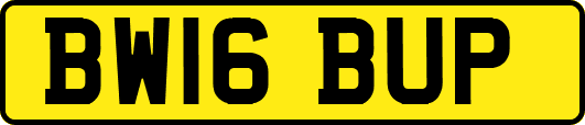 BW16BUP