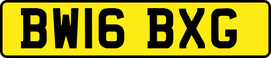BW16BXG