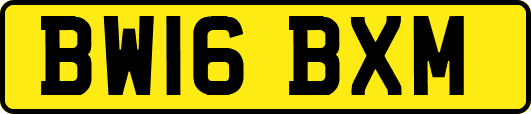 BW16BXM