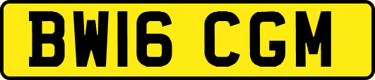 BW16CGM