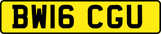 BW16CGU