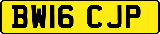 BW16CJP