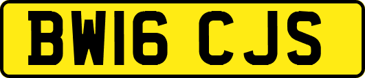 BW16CJS