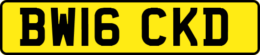 BW16CKD