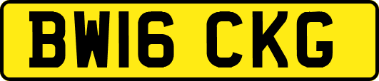 BW16CKG