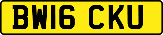 BW16CKU