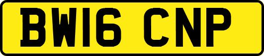 BW16CNP