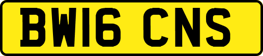 BW16CNS